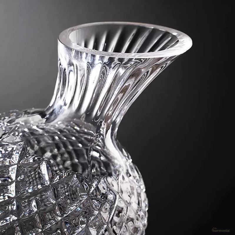Decanter de Vinho Recipiente de Vidro Cristal Decantador-Harmonia do lar - Harmonia do lar