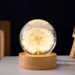 Luminária Cristal LED – Jardim Encantado | Harmonia do lar-Dente de Leão-
